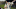 Outlander Season 7