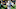 Michigan State football Michigan State football