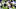 Bears predictions, David Montgomery Bears predictions, David Montgomery