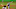 DraftKings DraftKings