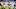 FanDuel NFL FanDuel NFL