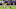Green Bay Packers Green Bay Packers