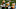 Green Bay Packers Green Bay Packers