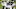 Philadelphia Eagles Philadelphia Eagles