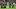 Seattle Seahawks Seattle Seahawks