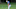 January 9, 2020; Honolulu, Hawaii, USA; Joaquin Niemann hits his third shot on the 10th hole during the first round of the Sony Open in Hawaii golf tournament at Waialae Country Club. Mandatory Credit: Kyle Terada-USA TODAY Sports January 9, 2020; Honolulu, Hawaii, USA; Joaquin Niemann hits his third shot on the 10th hole during the first round of the Sony Open in Hawaii golf tournament at Waialae Country Club. Mandatory Credit: Kyle Terada-USA TODAY Sports