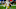 Notre Dame Football. (Photo by Justin Berl/Getty Images) Notre Dame Football. (Photo by Justin Berl/Getty Images)
