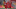 Liverpool, Trent Alexander-Arnold Liverpool, Trent Alexander-Arnold