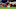 MIAMI GARDENS, FL – DECEMBER 30: Dalvin Cook MIAMI GARDENS, FL – DECEMBER 30: Dalvin Cook
