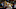 New Orleans Pelicans, Malachi flynn New Orleans Pelicans, Malachi flynn
