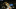 NCAA Basketball NCAA Basketball