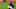 Cleveland Indians Cleveland Indians