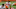 clemson football clemson football