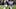 New York Giants New York Giants