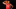 Former Houston Rockets F White