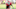 DeMarco Murray, Oklahoma football DeMarco Murray, Oklahoma football