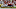 Alabama NFL Draft Alabama NFL Draft