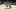 Purdue Boilermakers Trevion Williams Big Ten Basketball Big 10 Men S Basketball Purdue Vs Ohio State Buckeyes Purdue Boilermakers Trevion Williams Big Ten Basketball Big 10 Men S Basketball Purdue Vs Ohio State Buckeyes