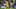 Borussia Dortmund defender Nico Schlotterbeck Borussia Dortmund defender Nico Schlotterbeck