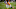 Chicago Bears, Deon Bush Chicago Bears, Deon Bush