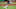 Carlos Correa, Atlanta Braves Carlos Correa, Atlanta Braves