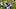 Fantasy Football Fantasy Football