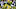 EUGENE, OR – NOVEMBER 18: Running back Royce Freeman #21 of the Oregon Ducks runs with the ball during the second half of the game against the Arizona Wildcats at Autzen Stadium on November 18, 2017 in Eugene, Oregon. The Ducks won the game 48-28. (Photo by Steve Dykes/Getty Images)