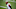 Cleveland Browns Cleveland Browns