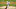 Phillies Phillies