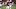 Nov 12, 2016; Lincoln, NE, USA; Nebraska Cornhuskers quarterback Tommy Armstrong Jr. (4) runs against the Minnesota Golden Gophers in the first half at Memorial Stadium. Mandatory Credit: Bruce Thorson-USA TODAY Sports Nov 12, 2016; Lincoln, NE, USA; Nebraska Cornhuskers quarterback Tommy Armstrong Jr. (4) runs against the Minnesota Golden Gophers in the first half at Memorial Stadium. Mandatory Credit: Bruce Thorson-USA TODAY Sports