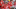Aaron Doster-USA TODAY Sports Aaron Doster-USA TODAY Sports