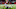 ATLANTA, GA – JANUARY 01: Nick Williams (Photo by Kevin C. Cox/Getty Images) – Chargers Rumors ATLANTA, GA – JANUARY 01: Nick Williams (Photo by Kevin C. Cox/Getty Images) – Chargers Rumors