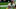 May 23, 2023; Green Bay, WI, USA; Green Bay Packers place kicker Anders Carlson (17) is shown during organized team activities at Ray Nitschke Field. Mandatory Credit: Jonathan Jones-USA TODAY Sports