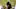 Mizzou Football Missouri Tigers Nick Bolton Mizzou Football Missouri Tigers Nick Bolton
