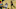Terrence Ross, Cleveland Cavaliers Terrence Ross, Cleveland Cavaliers