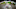 NASCAR DFS NASCAR DFS