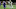 New Orleans Saints New Orleans Saints