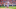 college football college football