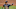 FanDuel MLB FanDuel MLB