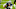 Dak Prescott, Dallas Cowboys Dak Prescott, Dallas Cowboys