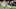 Packers mock draft, Jameson Willliams Packers mock draft, Jameson Willliams