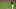 Josh Tomlin Josh Tomlin