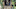 Image: Game of Thrones/HBO Image: Game of Thrones/HBO