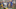 LSU Football LSU Football