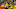 DORTMUND, GERMANY – OCTOBER 06: Paco Alcacer celebrates after scoring his team`s fourth goal with team mates during the Bundesliga match between Borussia Dortmund and FC Augsburg at Signal Iduna Park on October 6, 2018 in Dortmund, Germany. (Photo by TF-Images/Getty Images) DORTMUND, GERMANY – OCTOBER 06: Paco Alcacer celebrates after scoring his team`s fourth goal with team mates during the Bundesliga match between Borussia Dortmund and FC Augsburg at Signal Iduna Park on October 6, 2018 in Dortmund, Germany. (Photo by TF-Images/Getty Images)