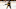 Boston Bruins Boston Bruins