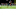Chicago Bears, Duke Johnson
