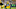 Blake Martinez Green Bay Packers Blake Martinez Green Bay Packers