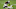 Tight end Darren Waller #83 of the Las Vegas Raiders (Photo by Ethan Miller/Getty Images) Tight end Darren Waller #83 of the Las Vegas Raiders (Photo by Ethan Miller/Getty Images)