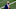 Philadelphia Eagles Philadelphia Eagles